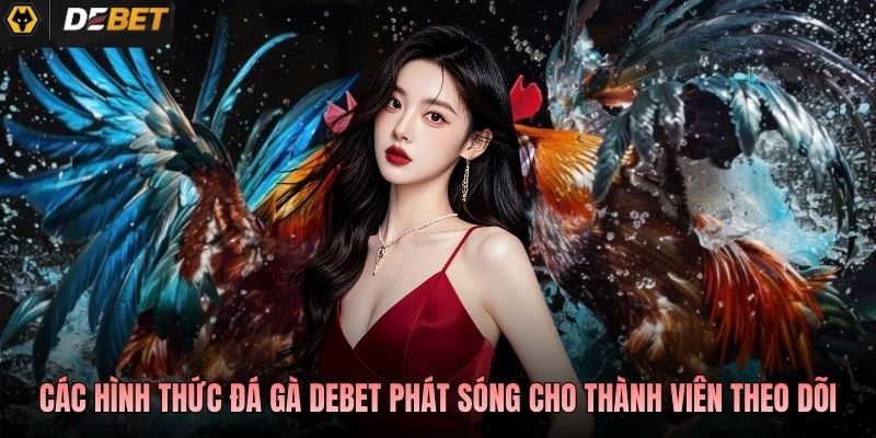Các hình thức đá gà Debet phát sóng cho thành viên theo dõi